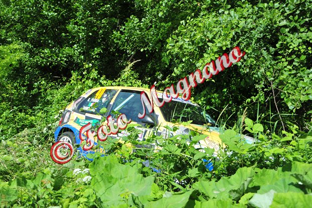 DSC_7684.jpg